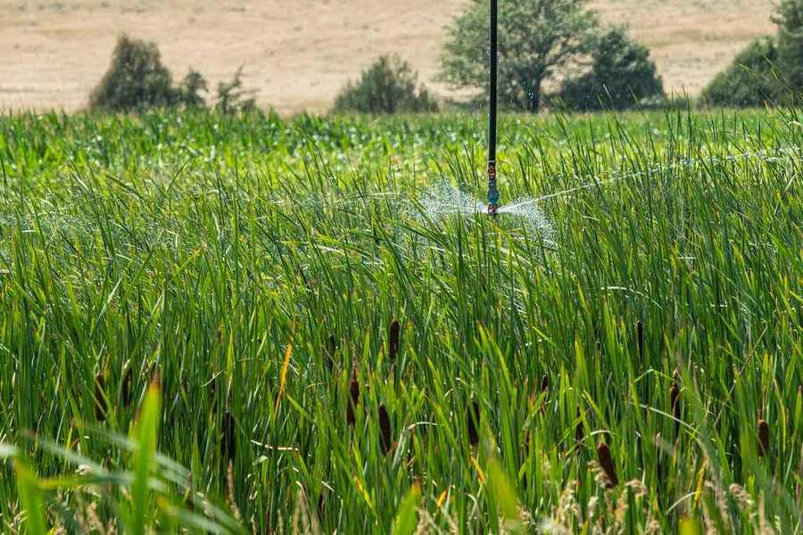 Напояване на земеделски култури от напоителен сондаж